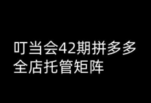 叮当会拼多多打爆班原创高阶技术第42期，拼多多全店托管矩阵-蜗牛学社