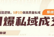 引爆私域成交力系统课,打通底层逻辑,5步3力做高质量私域-蜗牛学社