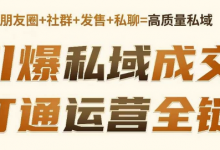 高成交私聊转化,引爆私域成交,打通运营全链-蜗牛学社