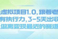 闲鱼虚拟项目1.0，跟着老手操作，有执行力，3-5天出收益，做离变现最近的赛道-蜗牛学社