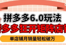 拼多多虚拟商品暴利6.0玩法,轻松实现月入过W-蜗牛学社