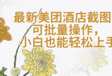 【轻云】最新美团酒店截图，可批量操作，小白也能轻松上手-蜗牛学社