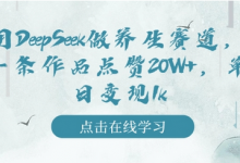 用DeepSeek做养生赛道，一条作品点赞20W+，单日变现1k-蜗牛学社
