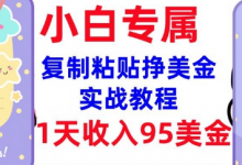 复制粘贴挣美金，0门槛，1天收入95美刀，3分钟学会，内部教程(首次公开)-蜗牛学社