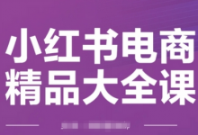 小红书电商精品大全课,快速掌握小红书运营技巧,实现精准引流与爆单目标,轻松玩转小红书电商(更新2月)-蜗牛学社