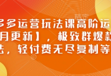 拼多多运营玩法课高阶运营【2月更新】，极致群爆款玩法，轻付费无尽复制等-蜗牛学社