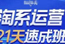 淘系运营21天速成班(更新25年2月),0基础轻松搞定淘系运营,不做假把式-蜗牛学社
