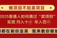 必看,做项目不如卖项目,2025普通人如何通过“卖项目”实现月入十个,年入百个-蜗牛学社