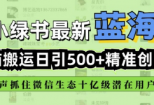 小绿书无脑搬运引流，全自动日引500精准创业粉，微信生态内又一个闷声发财的机会-蜗牛学社