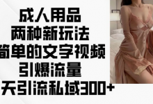 成人用品两种新玩法,简单的文字视频引爆流量,一天引流私域300+-蜗牛学社