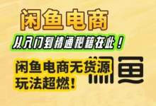 闲鱼电商实战课,从入门到精通秘籍在此,闲鱼电商无货源玩法超燃!-蜗牛学社