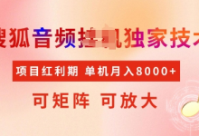 全网首发搜狐音频挂JI独家技术,项目红利期,可矩阵可放大,稳定月入8k-蜗牛学社