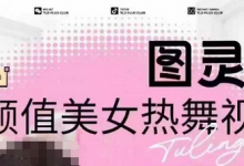 全网首发,原价988图灵殿AI颜值美女热舞视频,云端生图,轻松过原创-蜗牛学社