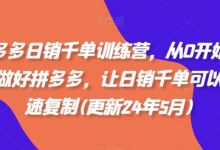 拼多多日销千单训练营,从0开始带你做好拼多多,让日销千单可以快速复制(更新25年3月)-蜗牛学社