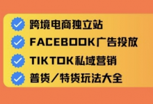 跨境电商独立站及全域流量营销,从0基础快速入门并精通跨境电商运营-蜗牛学社