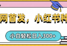 小红书种草,手机项目,日入3张,复制黏贴即可,可矩阵操作,动手不动脑-蜗牛学社