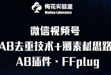 视频号连怼玩法-FFplug玩法AB插件使用+测素材教程-梅花实验室社群专享课-蜗牛学社