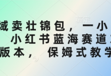 私域卖壮锦包,一小时3张,小红书蓝海赛道3.0版本, 保姆式教学-蜗牛学社