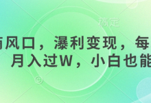 女杏商风口,瀑利变现,每天1小时,月入过W,小白也能做-蜗牛学社