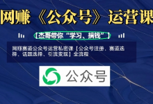 网创赛道公众号运营私密课【公众号注册、赛道选择、话题选择、引流变现】全流程-蜗牛学社
