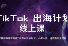 TikTok跨境电商新手起号与运营全攻略,0基础做跨境电商TIKTOK新手起号,小店入驻,操作指南全流程-蜗牛学社
