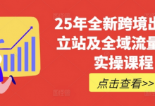 25年全新跨境出海独立站及全域流量营销实操课程,跨境电商独立站TIKTOK全域营销普货特货玩法大全-蜗牛学社