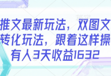 小说推文最新玩法,双图文年轻粉高转化玩法,跟着这样操做,有人3天收益1632-蜗牛学社
