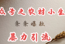 deepseek写农村小项目,条条爆款,暴力引流-蜗牛学社
