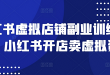 小红书虚拟店铺副业训练营1.0,小红书开店卖虚拟资料-蜗牛学社