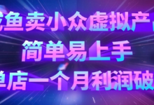 咸鱼卖小众虚拟产品,简单易上手,单店一个月利润破W-蜗牛学社