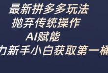 最新拼多多玩法，抛弃传统操作，AI赋能，助力新手小白获取第一桶金-蜗牛学社