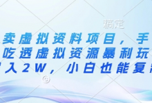 闲鱼卖虚拟资料项目,手把手带你吃透虚拟资源暴利玩法,月入2W,小白也能复制-蜗牛学社