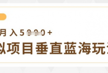 虚拟项目垂直玩法,实现单店月入5k+-蜗牛学社