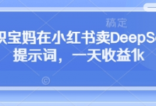 全职宝妈在小红书卖DeepSeek提示词,一天收益1k-蜗牛学社