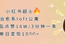 小红书超火的治愈系loft公寓,单条作品点赞16W,3分钟一条,单日变现数张-蜗牛学社