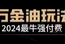 2024最牛强付费,万金油强付费玩法,干货满满,全程实操起飞(更新25年04月)-蜗牛学社