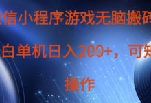 微信小程序游戏无脑搬砖,单设备日入2张+,可矩阵操作-蜗牛学社