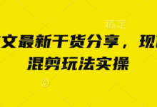 小说推文最新干货分享,现言剧情混剪玩法实操-蜗牛学社
