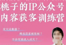 桃子IP公众号内容获客训练营(第3期),一门让你公众号从0到商业闭环的课程-蜗牛学社