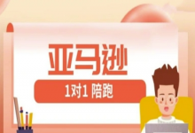亚马逊1对1陪跑课(FBA/FBM精铺)跨境亚马逊教程-蜗牛学社