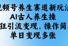 视频号养生赛道新玩法,AI古人养生操,疯狂引流变现,操作简单,单日变现多张-蜗牛学社
