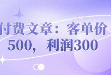 付费文章:客单价500,利润300-蜗牛学社