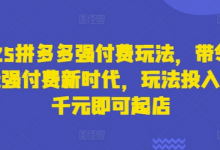 2025拼多多强付费玩法,带领全网走强付费新时代,玩法投入不超千元即可起店-蜗牛学社