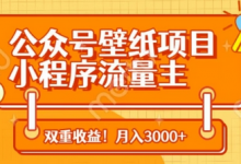 公众号壁纸项目,小程序流量主双收益,月入3000+-蜗牛学社