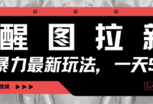 醒图拉新，暴力新玩法，光用手机三分钟制作一条视频，一天轻松5张-蜗牛学社