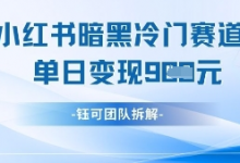 小红书冷门”暗黑”赛道，单日收益多张-蜗牛学社