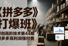 《拼多多打爆班》原创高阶技术第44期,拼多多高利润强付费-蜗牛学社