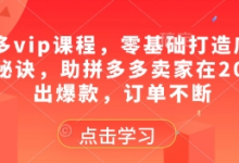 拼多多vip课程，零基础打造店铺的核心秘诀，助拼多多卖家在2025卖出爆款，订单不断-蜗牛学社