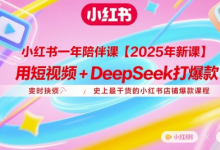 小红书一年陪伴课【2025年新课】，用短视频+deepSeek打爆款，史上最干货的小红书店铺爆款课程-蜗牛学社