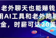 和老外聊天也能挣钱？利用AI工具和老外陪聊挣美金，时薪可达20刀-蜗牛学社